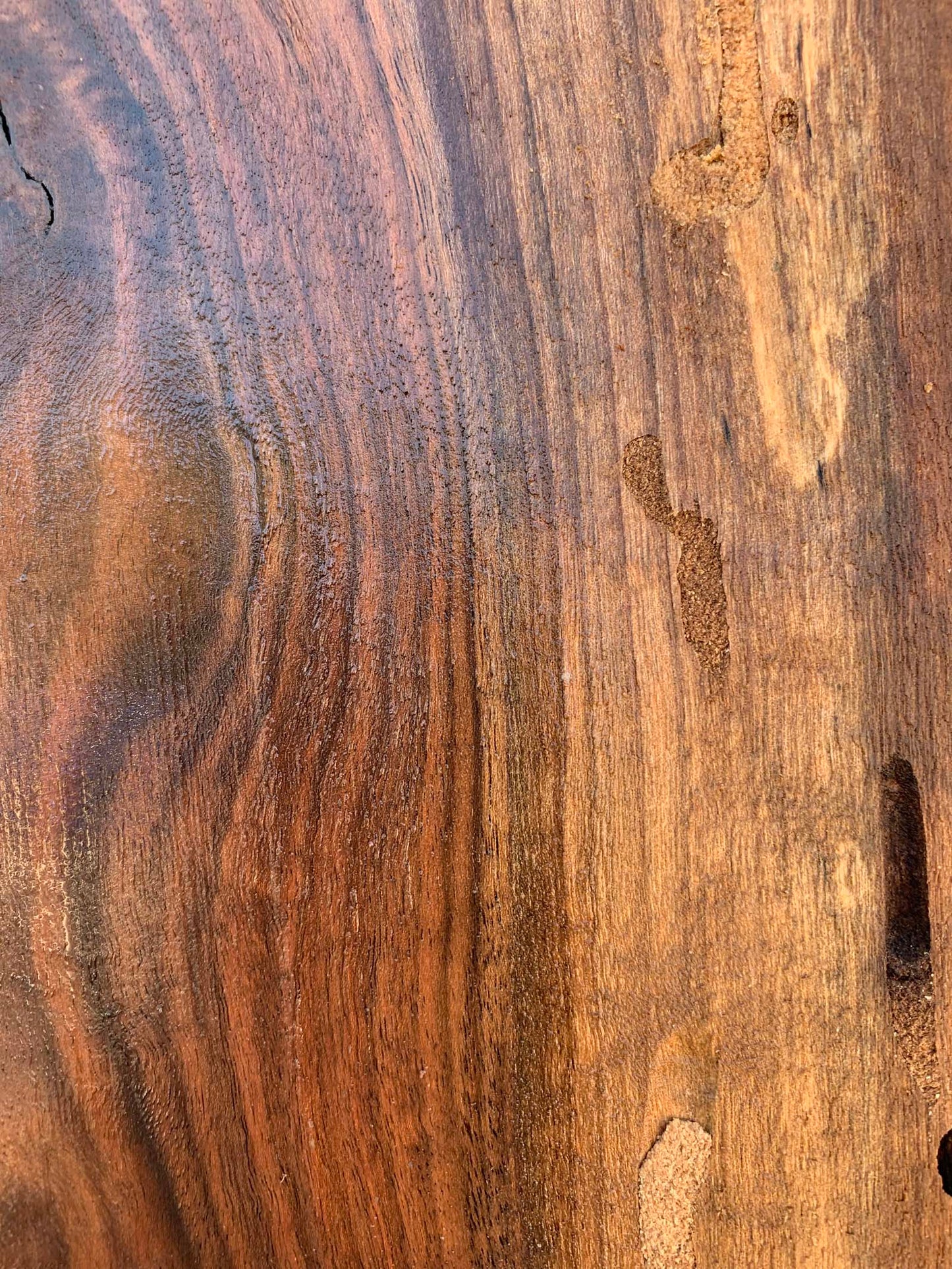 Claro Walnut Specialty Piece CLASPC344