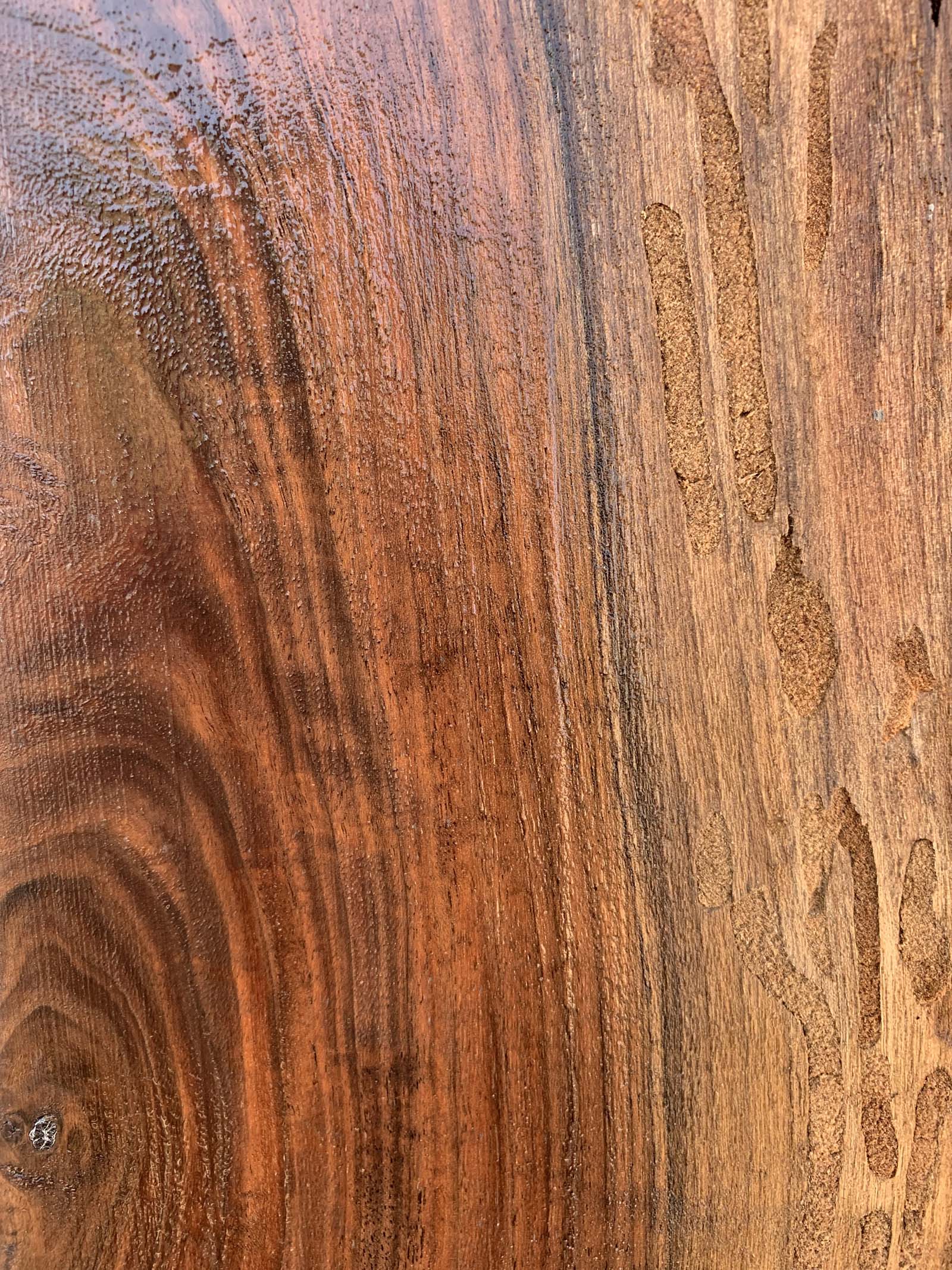 Claro Walnut Specialty Piece CLASPC344