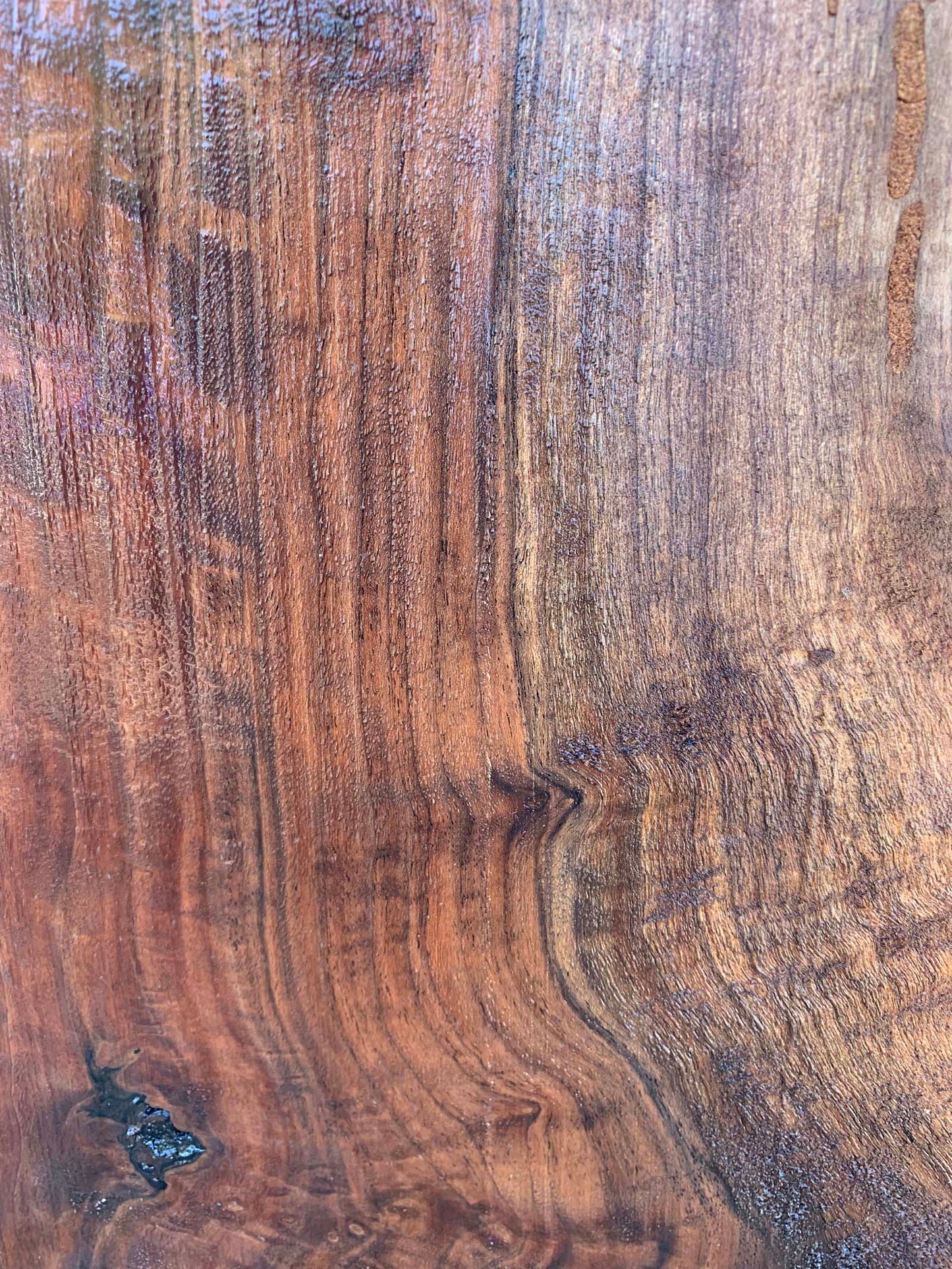 Claro Walnut Specialty Piece CLASPC344