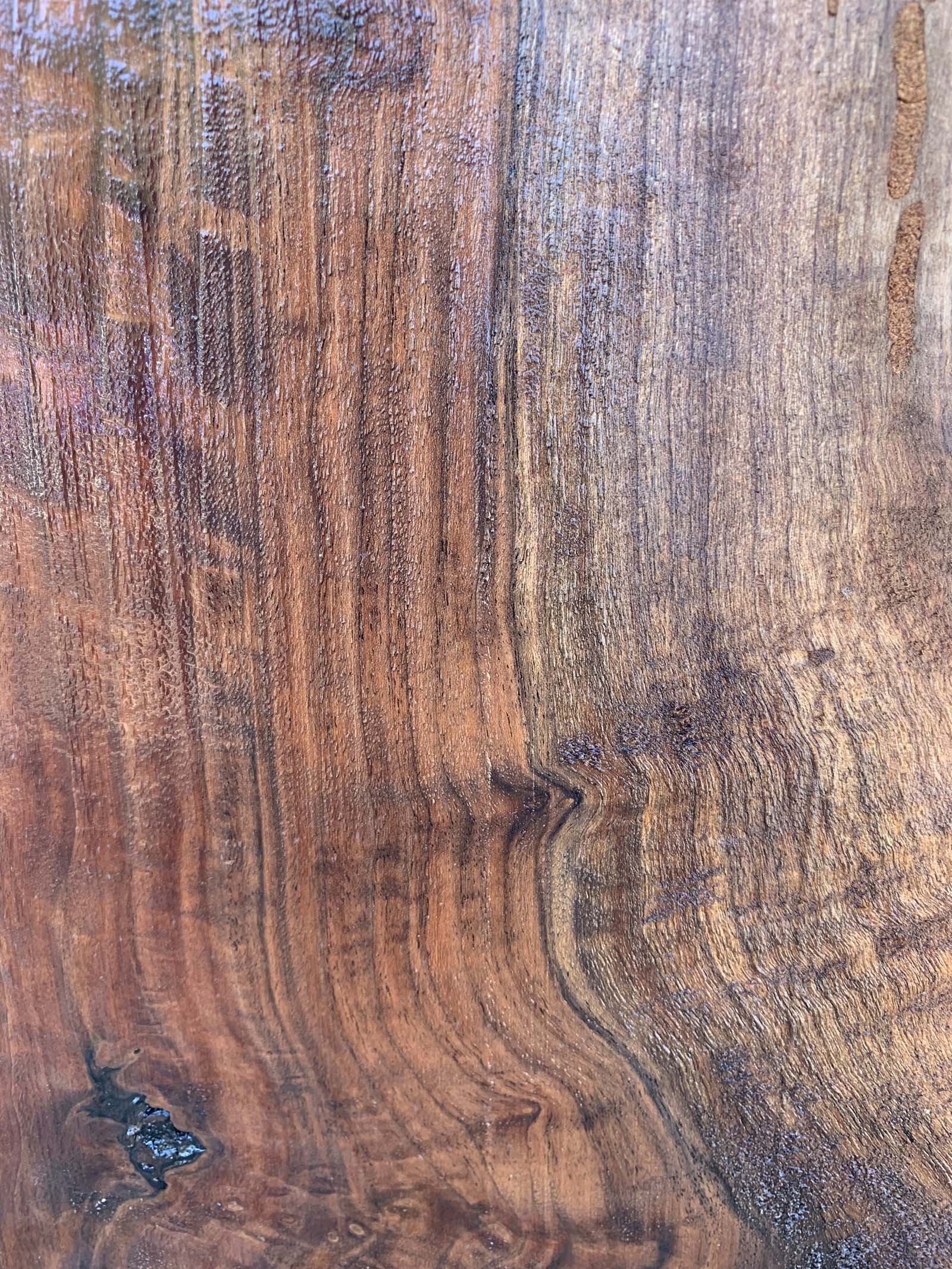 Claro Walnut Specialty Piece CLASPC344