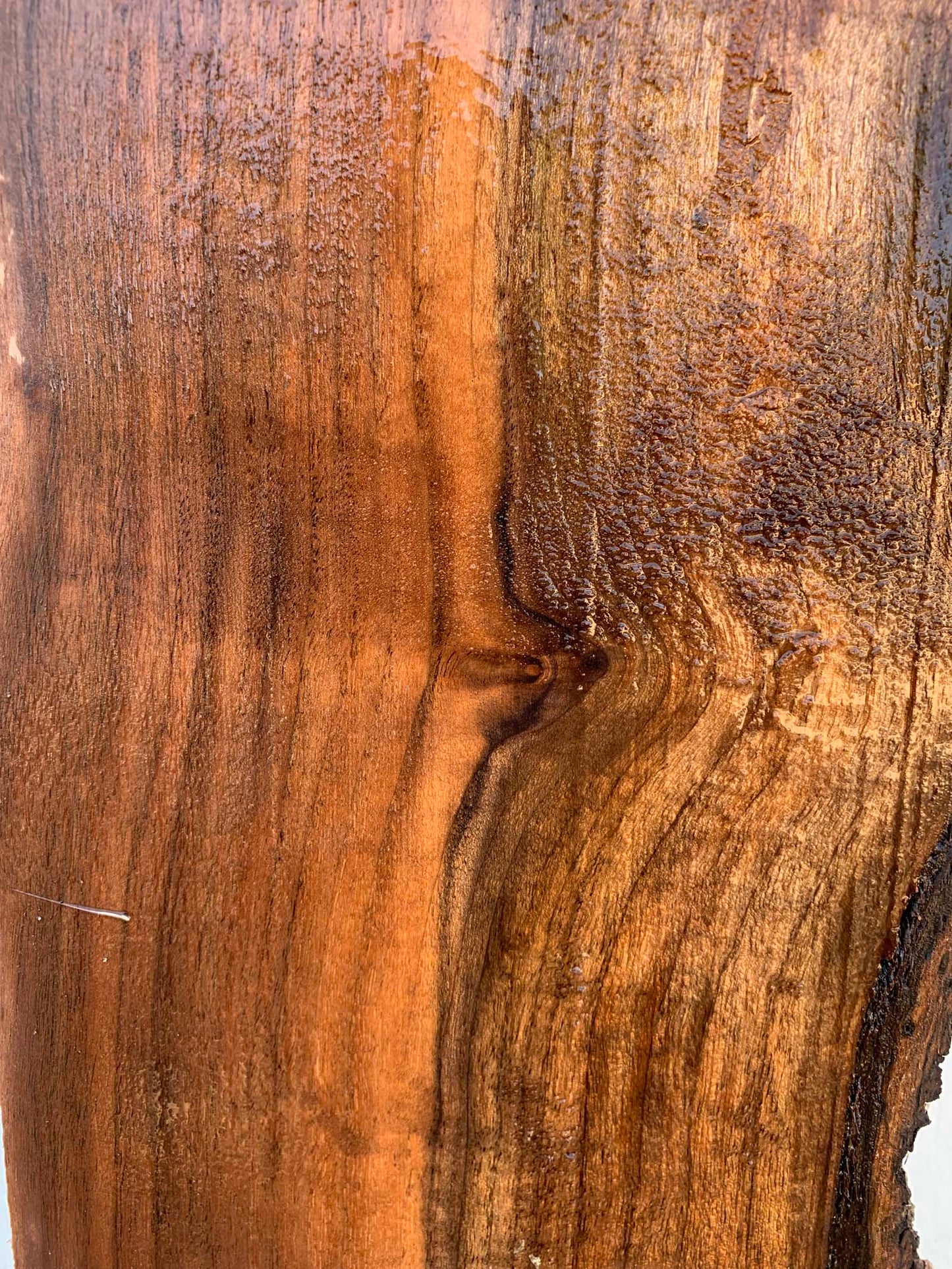 Claro Walnut Specialty Piece CLASPC345