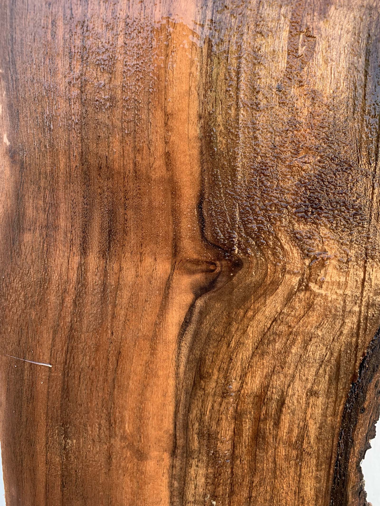 Claro Walnut Specialty Piece CLASPC345