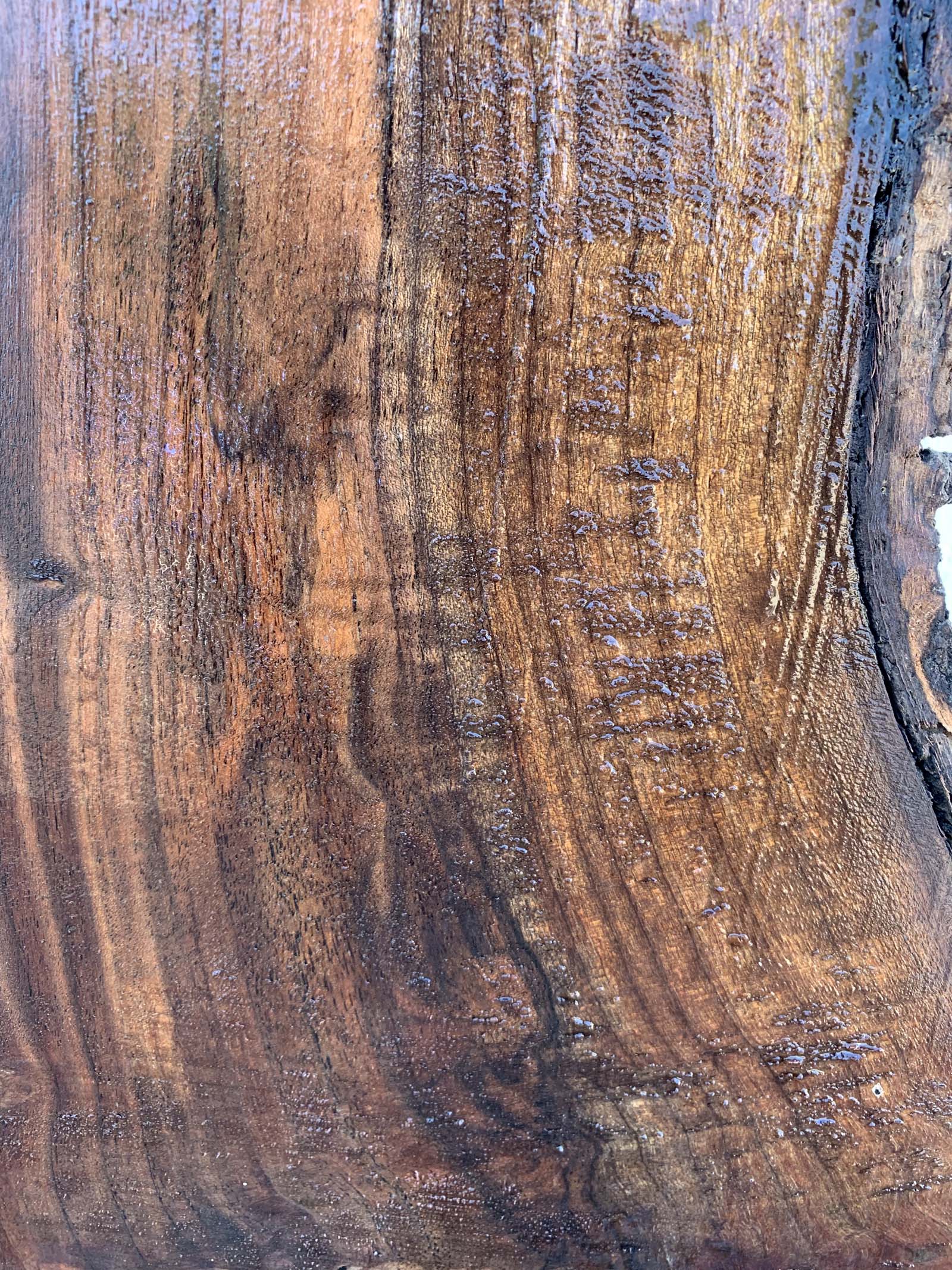 Claro Walnut Specialty Piece CLASPC345