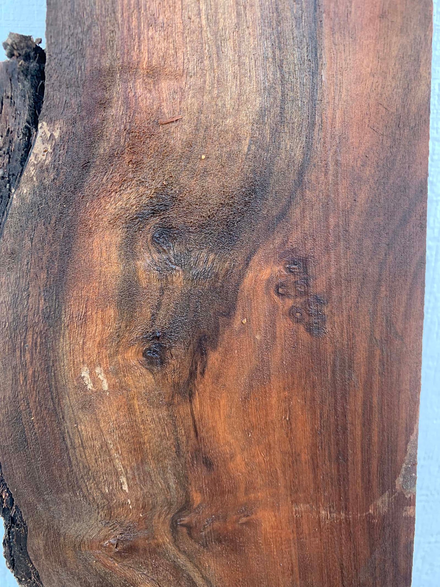 Claro Walnut Specialty Piece CLASPC276