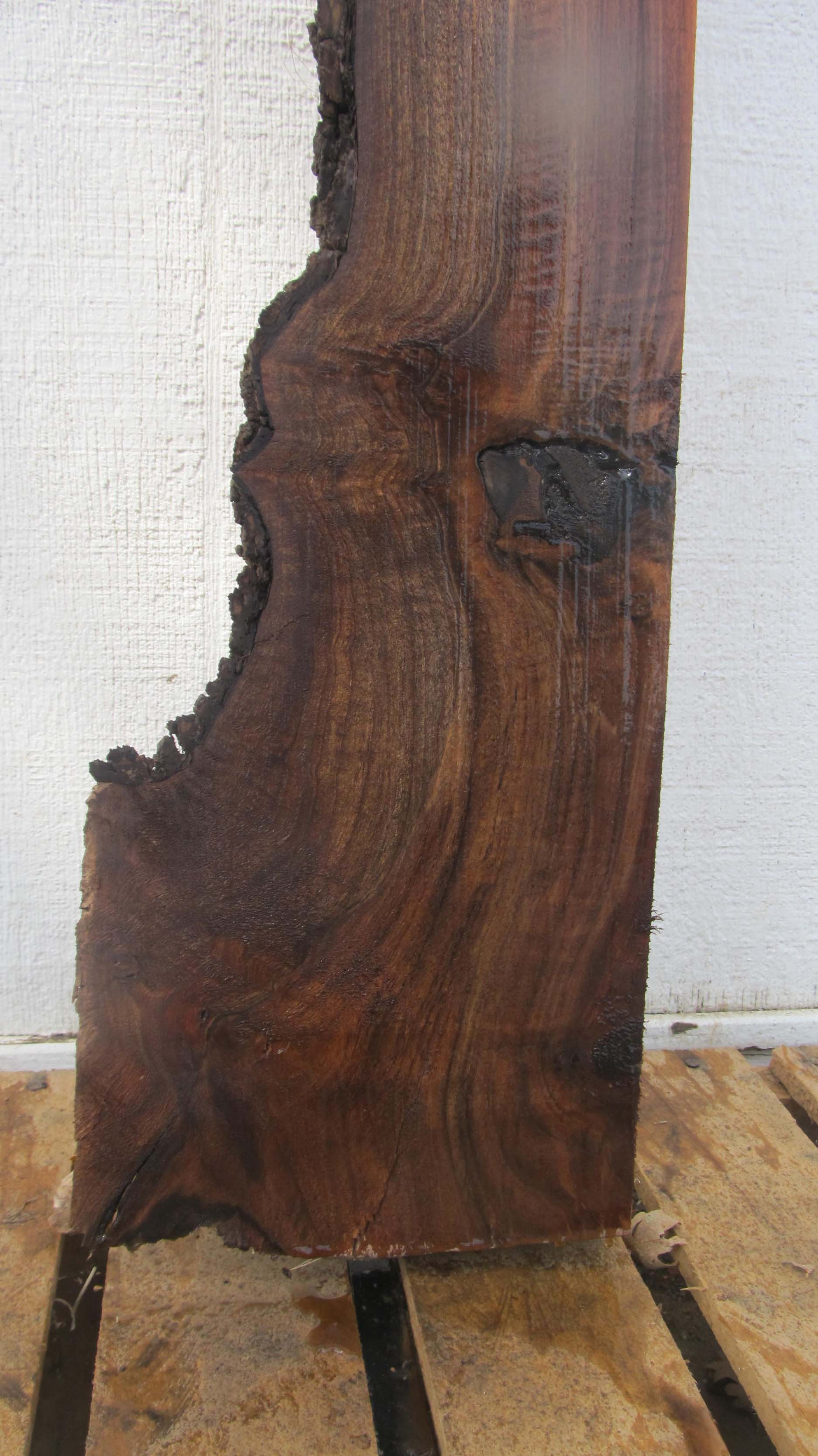 Claro Walnut Specialty Piece CLASPC313