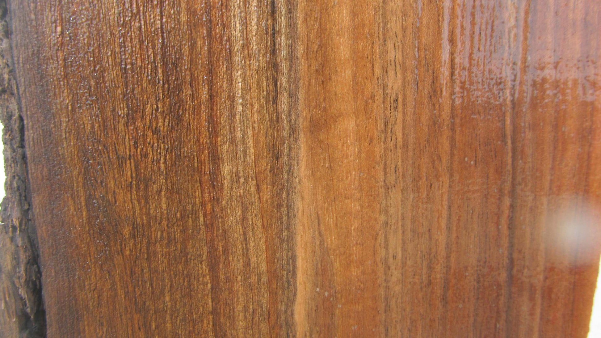 Claro Walnut Specialty Piece CLASPC313