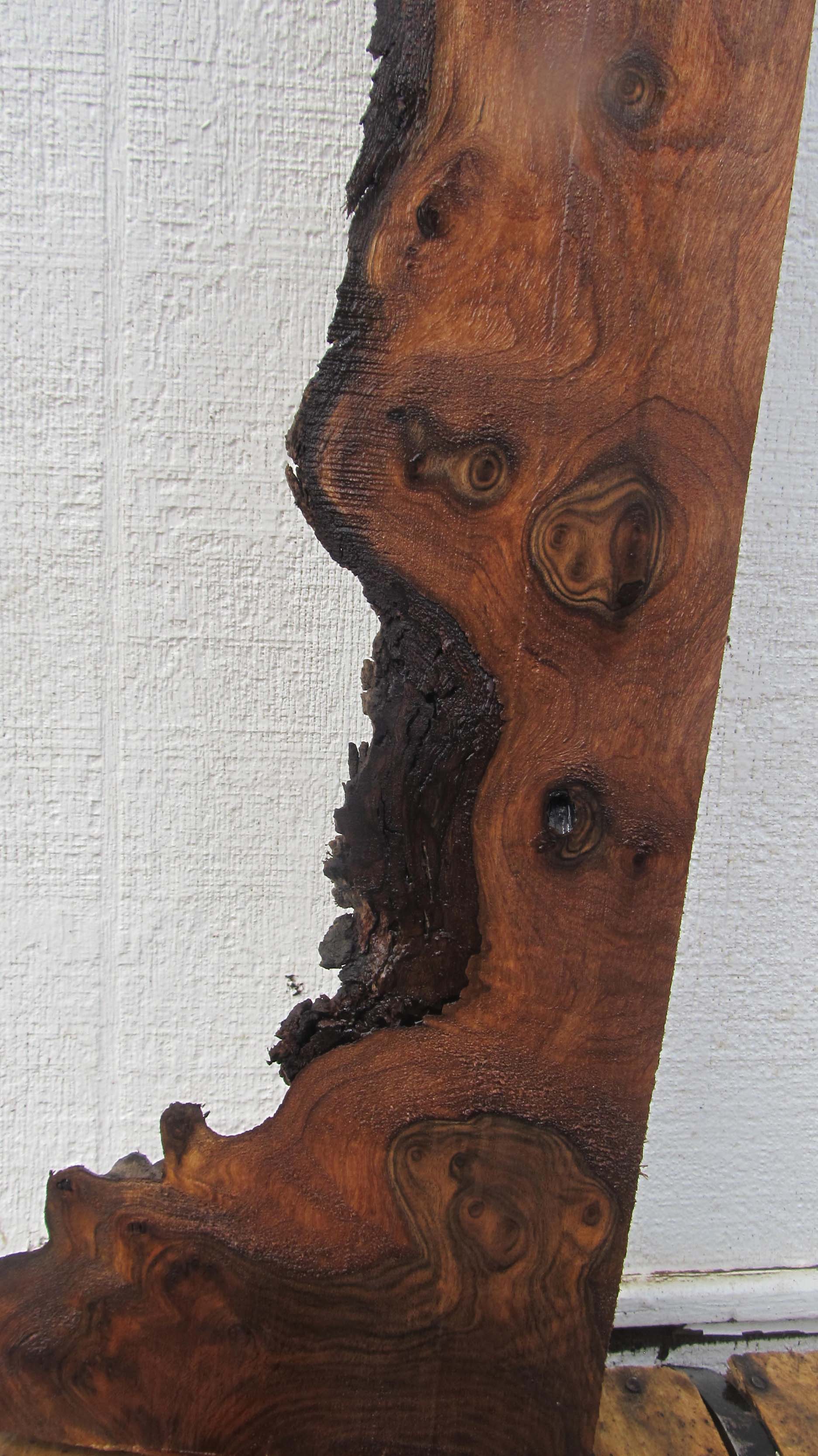 Claro Walnut Specialty Piece CLASPC293