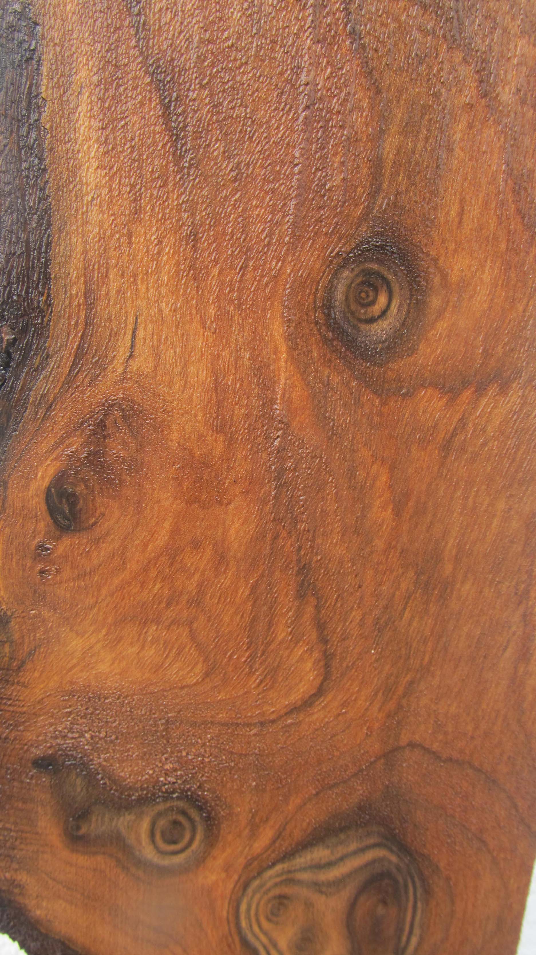 Claro Walnut Specialty Piece CLASPC293