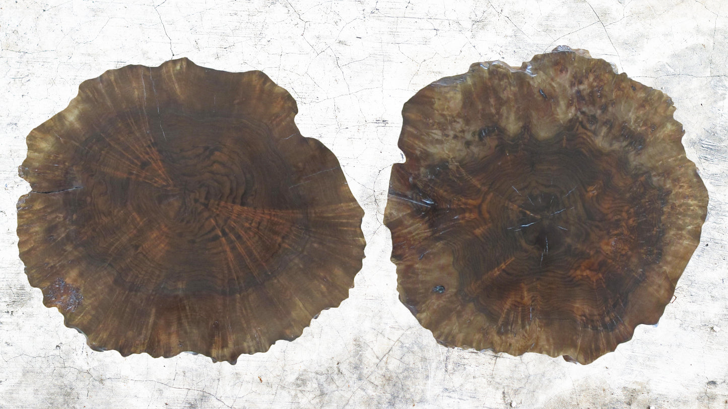 Claro Walnut Burl Round Side Tables