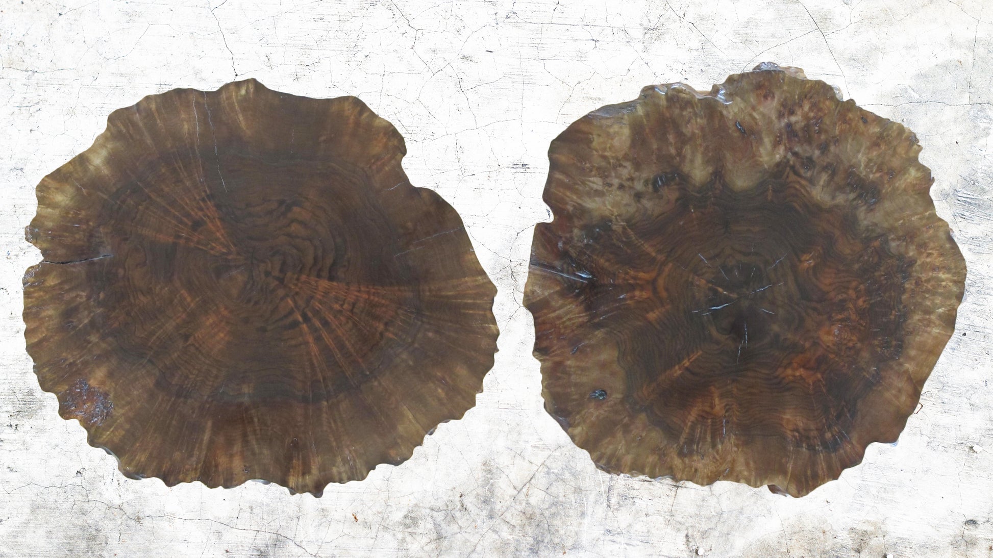 Claro Walnut Burl Round Side Tables